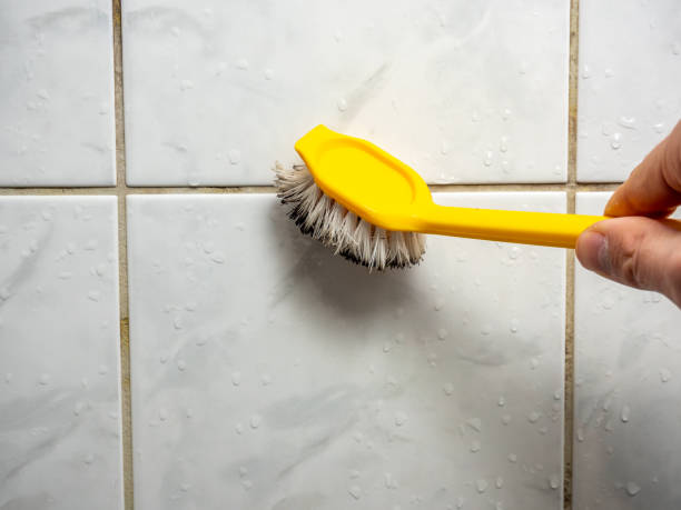 Best Mold Cleaning Services  in New Hartford Center, CT