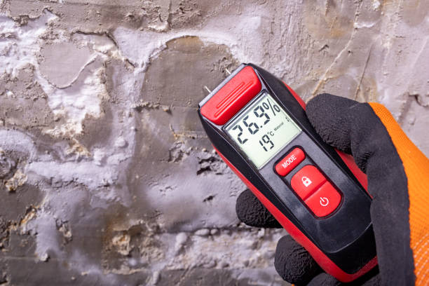 Best Certified Mold Removal  in New Hartford Center, CT